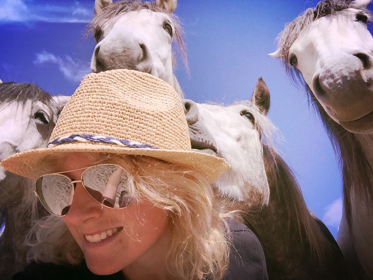 Liberty rider helps raise funds for horse charity | The Exeter Daily